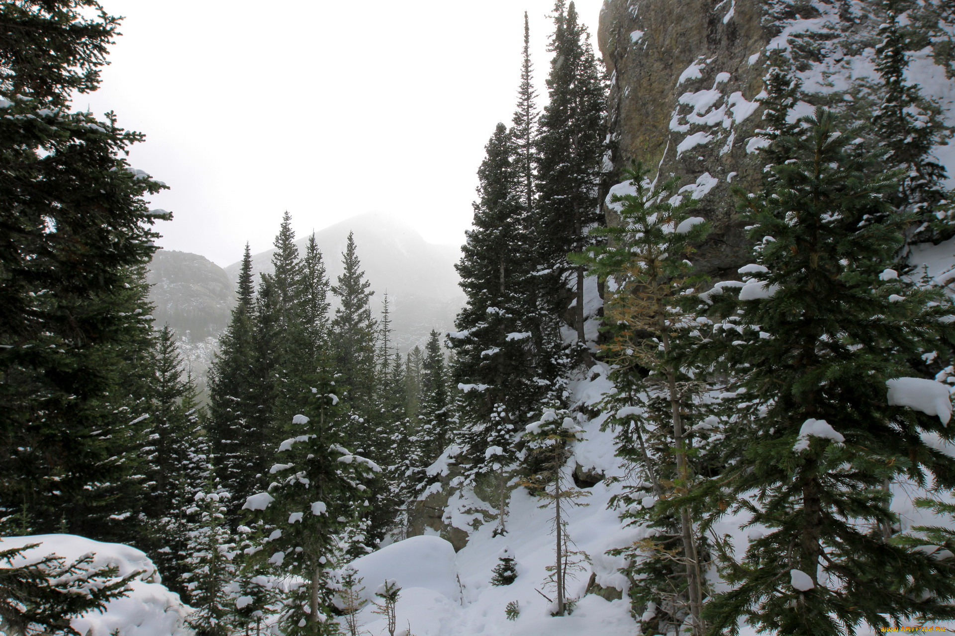 , , colorado, rocky, mountain, national, park